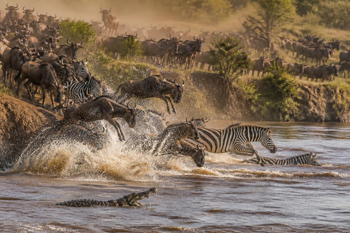 Serengeti · Mara River Crossing