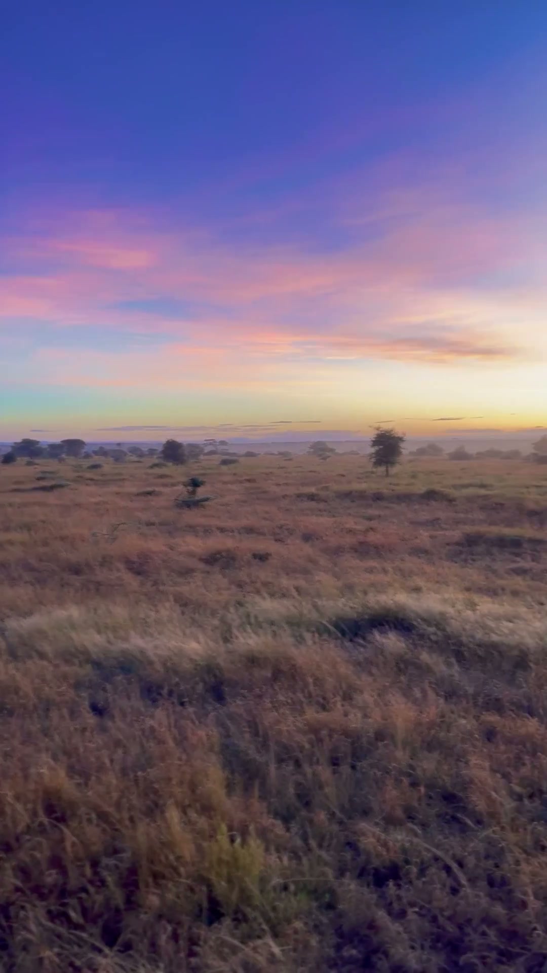 Sunset over the Serengeti